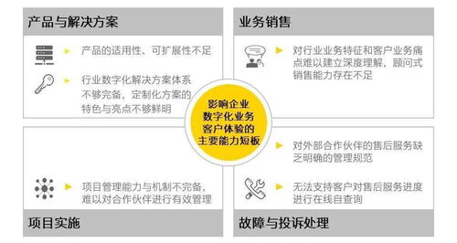 數字化轉型服務商如何通過技術驅動提升企業(yè)客戶體驗