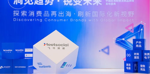新品類、新渠道、新技術(shù) 飛書深諾沈晨崗談出海品牌如何借數(shù)字技術(shù)服務(wù)開啟新故事